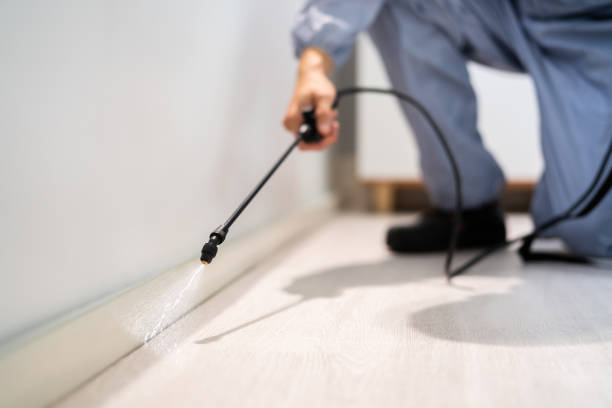 Licensed Ant Control service in Del Norte County County, CA - Nex Pest Control