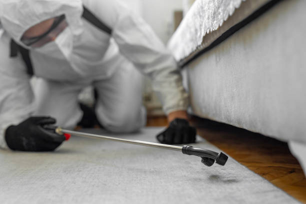 Professional Ant Control technician working in Del Norte County County, CA